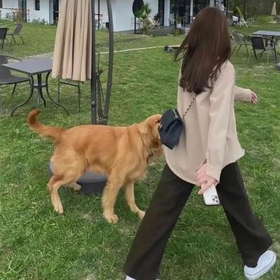 二龙湖浩哥之风云再起