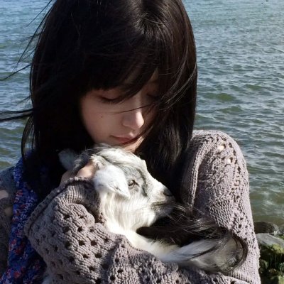 顾问先生有问题
